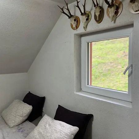 Vikendica Krivaja Sa Bazenom I Privatnom Plazom Zavidovici